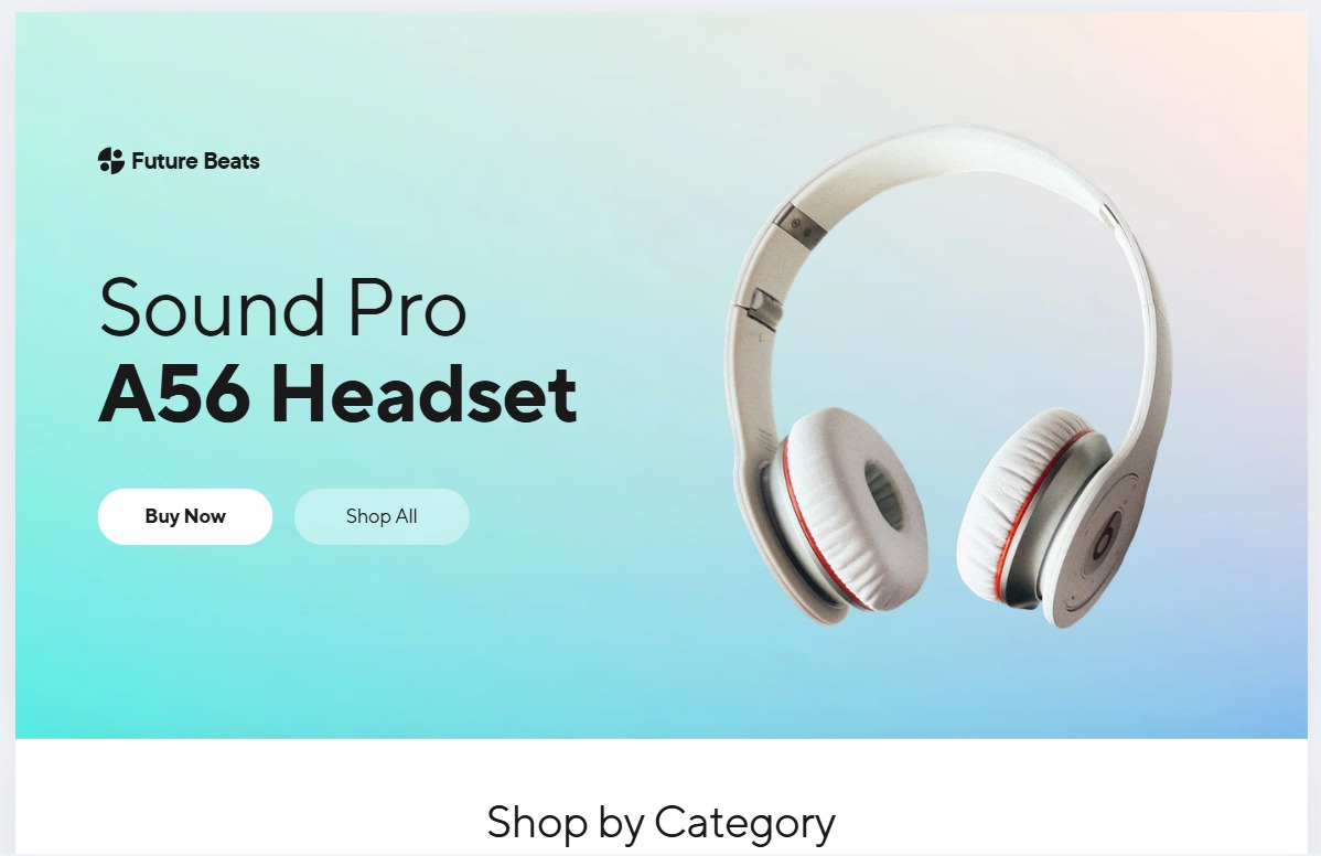 Web development preview